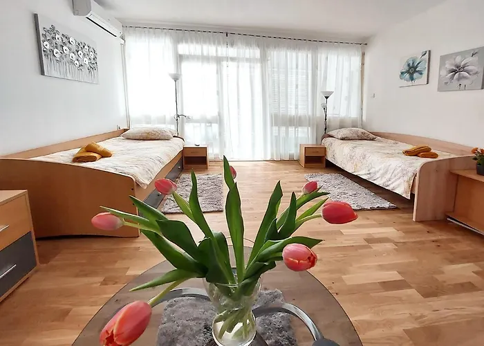 Oliva Apartment